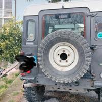 Defender td5 preparato 