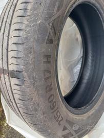 4 gomme estive Continental Ecocontact 6