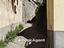 Immagine 13
