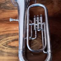 Flicorno baritono (Euphonio)