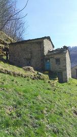 Rustico con terreno e boschi