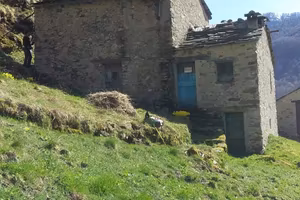 Rustico con terreno e boschi