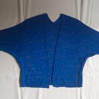 Coprispalle blu