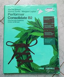 Performer Consolidate B2(LDM)- Grammar and Voca...