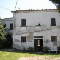 Casa in sasso con servizi e uliveto