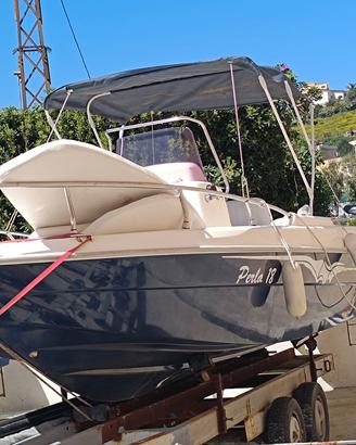 Motoscafo evinrude 