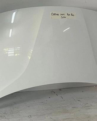COFANO ANTERIORE KIA Rio 4° Serie (11>)