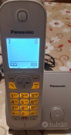 Cordless Panasonic 