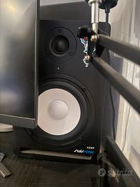 Monitor audio