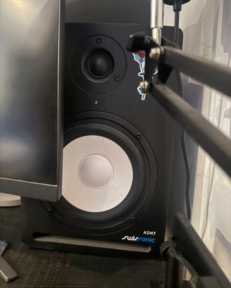 Monitor audio