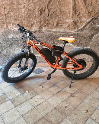 Fat bike elettrica Worthy TOP-012