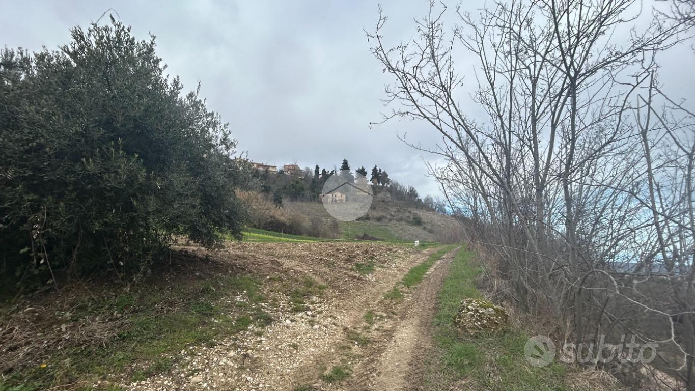 TER. AGRICOLO A RIPATRANSONE - Vista 5