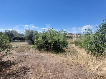 Terreno Residenziale Mosciano Sant'Angelo