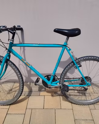 Bici per bambino 8-11 anni