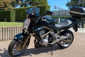 KAWASAKI ER-6N