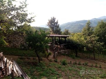 Terreno Agricolo