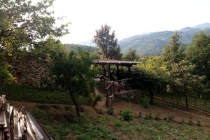 Terreno Agricolo