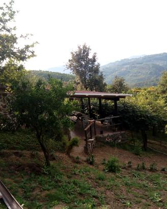 Terreno Agricolo
