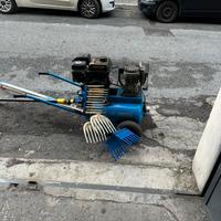 Compressore per le olive