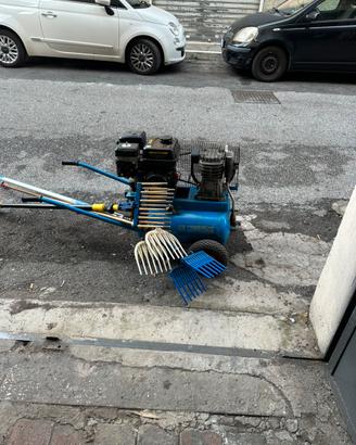 Compressore per le olive