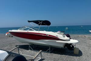 Bayliner 225 BR + Mercruiser 5.0 mpi + Carrello