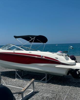 Bayliner 225 BR + Mercruiser 5.0 mpi + Carrello