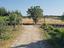 Immagine 11