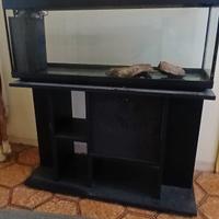 acquario