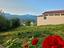 Immagine 18