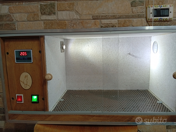 Camera calda per uccelli