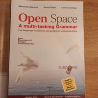 libro open space 