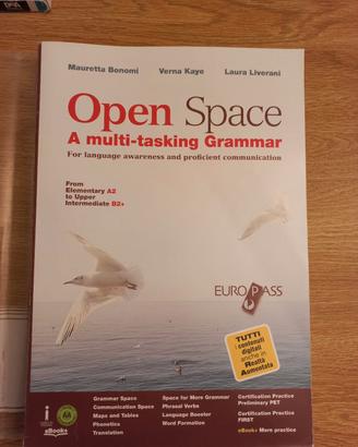 libro open space 