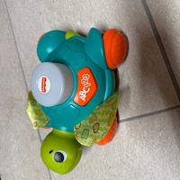 Tartaruga gattona con me