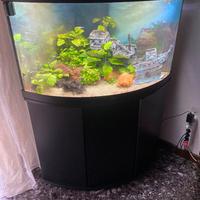 Acquario Juwel 120 litri, con mobile e pesci