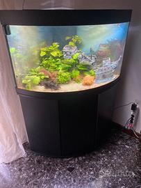 Acquario Juwel 120 litri, con mobile e pesci
