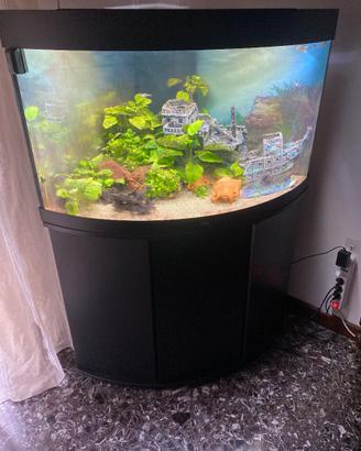 Acquario Juwel 120 litri, con mobile e pesci