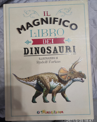 Libro sui dinosauri