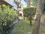 Immagine 11