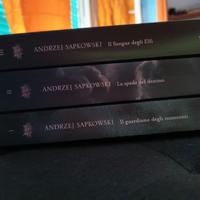 The Witcher Libri