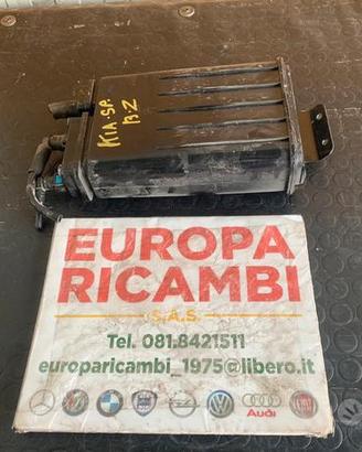 Filtro carboni attivi Kia sportage