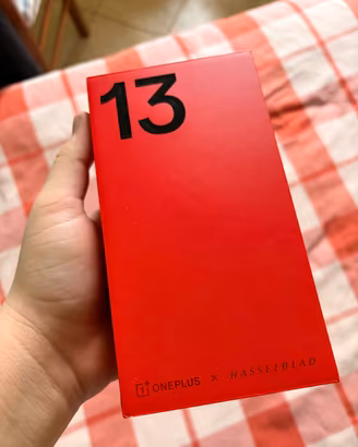 OnePlus 13