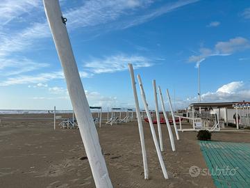 6 Pali castagno 4mt verniciati