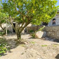 Rudere con grande giardino