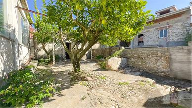 Rudere con grande giardino