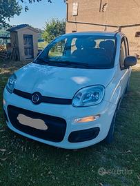 Fiat Panda 1.2  NEOPATENTATI