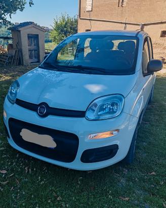 Fiat Panda 1.2  NEOPATENTATI