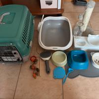 Accessori Gatto