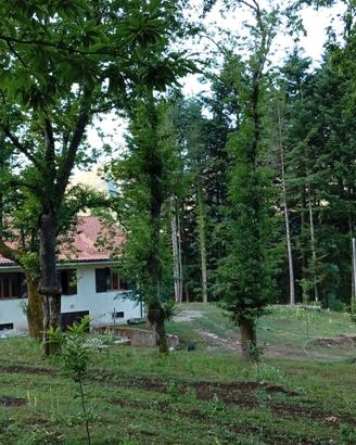 Casale per pic-nic di FERRAGOSTO