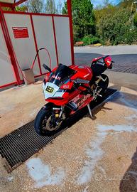 Panigale replica sbk