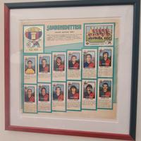 Squadra Sambenedettese Serie B 1982-83 - Panini